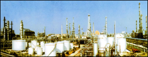 ���d�ЄP�_(d��)�ͻ�������޹�˾