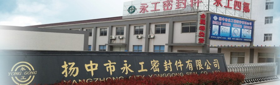 �P(y��ng)���������ܷ�����޹�˾