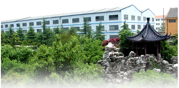 ���T�кƘs�������S