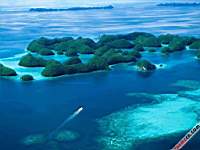 �����к���۰������޹�˾