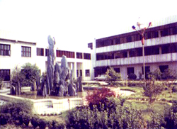 �������f(w��n)��܇�v�������޹�˾