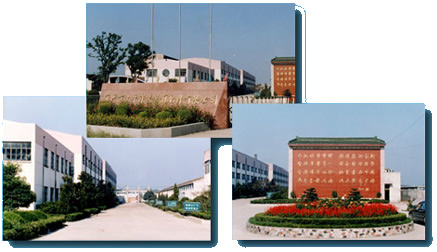 ���d��̫ƽ���b��������޹�˾