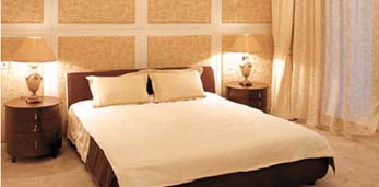 �Ϻ�ʥ·�׽z���ü���Ʒ���޹�˾