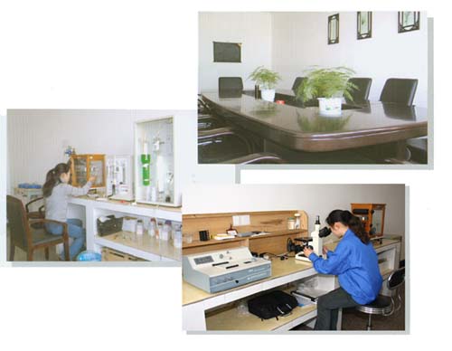 �o(w��)�a�������T�����޹�˾