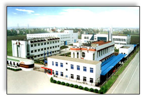 ����������������޹�˾