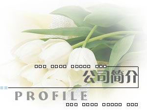 �o�a�������C(j��)е�������޹�˾