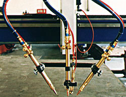 ֱ�������