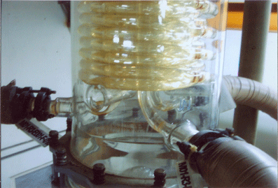  �����ύ�Q������ʾ��D