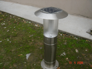 ̫��ܲ�ƺ��