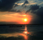 ����ר��