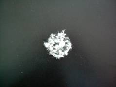 �����۱�ϩ���w�S2