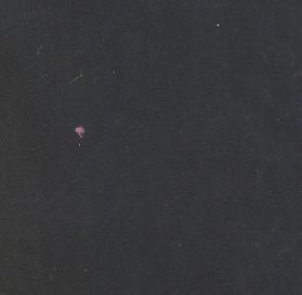 �\��б��ĥë�L(zh��ng)�z