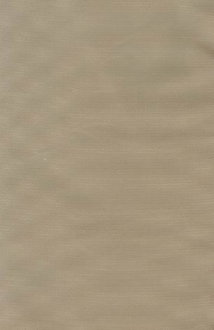 NL��Taslan250D����