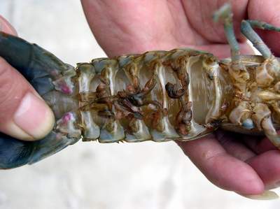 �������r