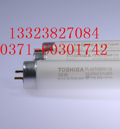 �|֥�������