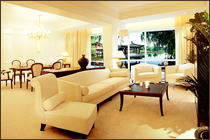 �Ƶ�ͷ�(��)