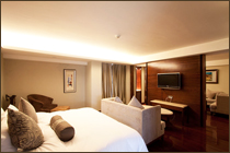 �Ƶ�ͷ�(��)