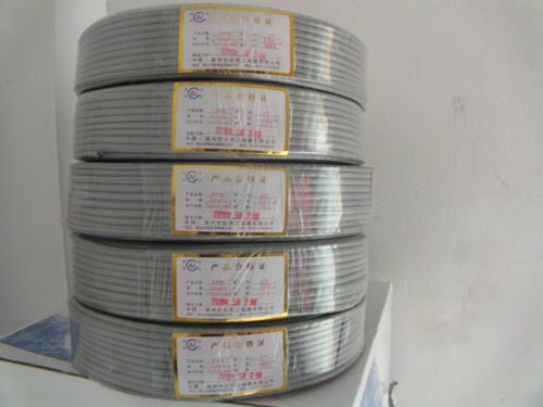 �a(ch��n)Ʒչʾ02