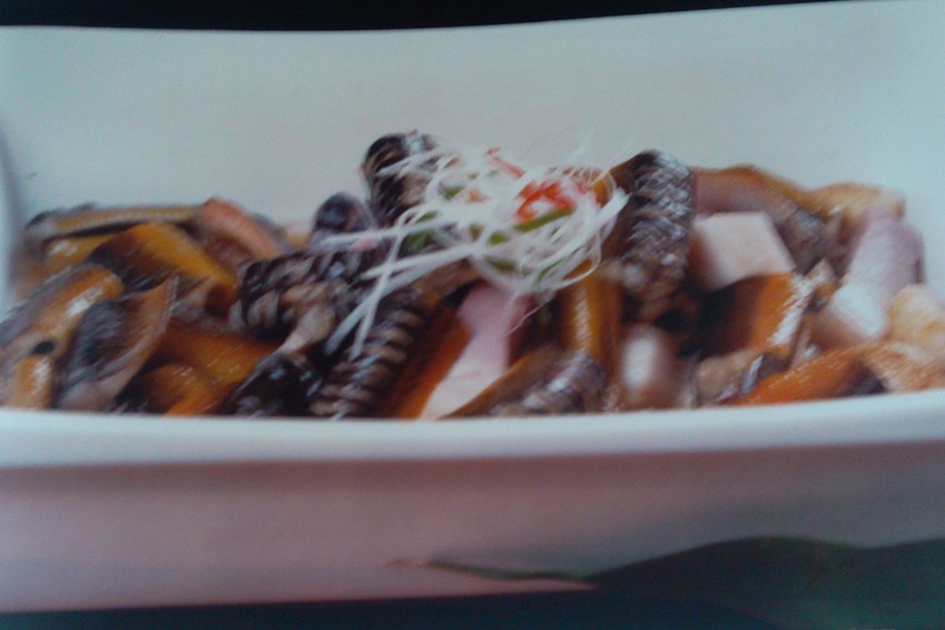 �������XͲ