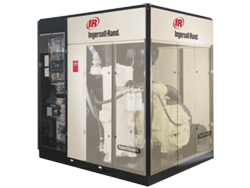 �ɼ�(j��)���sNIRVANA