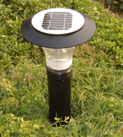 ̫��ܲ�ƺ��2