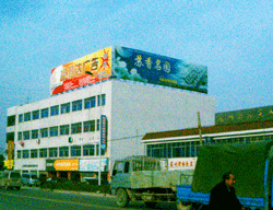 ���·�c�K��·�ژ�픿���