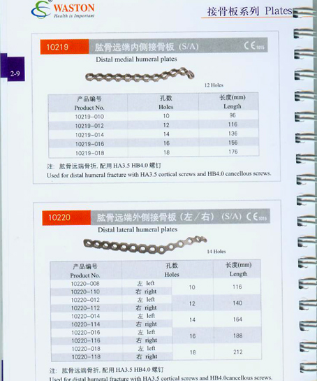 �ӹǰ�ϵ��11