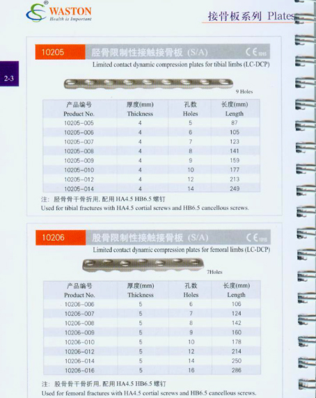 �ӹǰ�ϵ��17